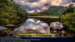 Photography Basics and Beyond - Landscape